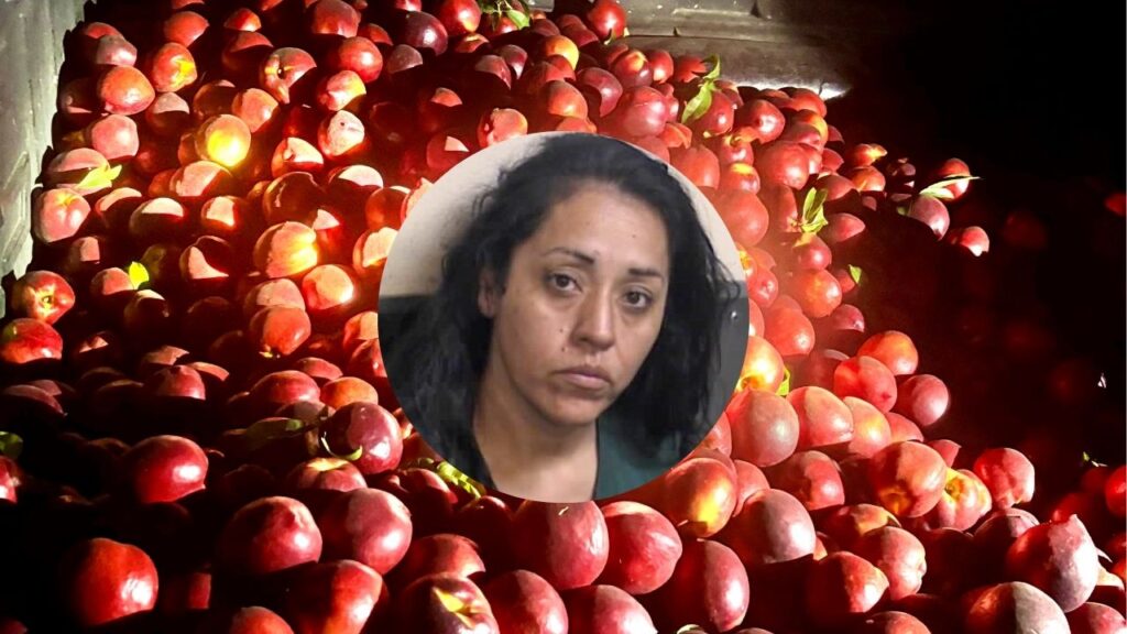 A Fresno County sheriff’s deputy arrested Zulema Garcia Cruz, 40, on outstanding warrants and new charges of grand theft of crops after allegedly finding stolen nectarines in her vehicle and a nearby pickup truck loaded with fruit from a Kingsburg-area orchard. (Fresno County SO)