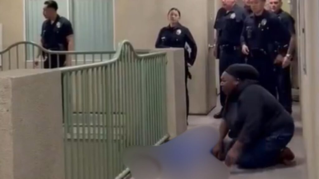 A Los Angeles police officer fatally shot a dog wearing a New York Knicks shirt after responding to a report of a screaming woman who was actually celebrating the team's NBA championship victory, according to NBC News. (X Video Screenshot)