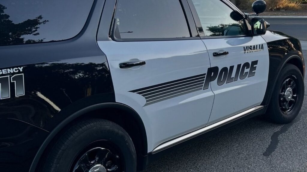 A Visalia probationer was arrested Sunday, June 14, 2026, after police said he attempted to flee from officers twice before being apprehended with the help of a drone-assisted search. (Visalia PD)