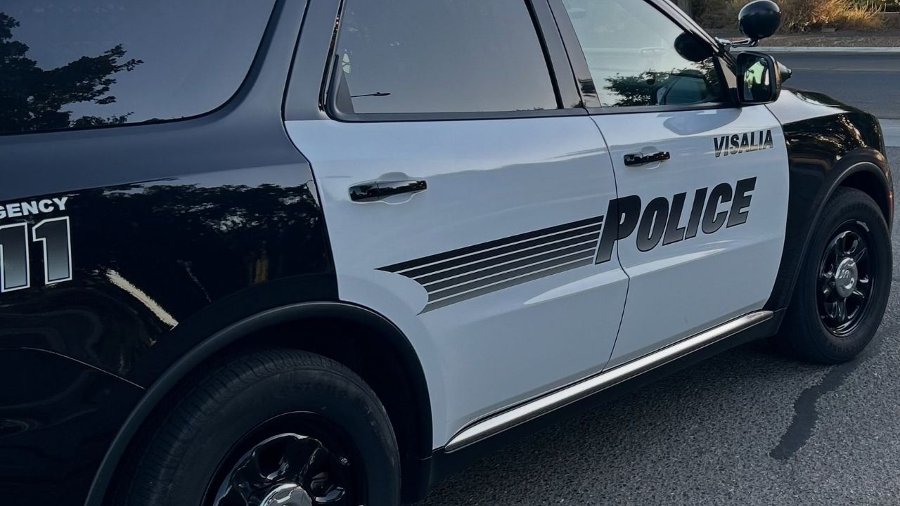 A Visalia probationer was arrested Sunday, June 14, 2026, after police said he attempted to flee from officers twice before being apprehended with the help of a drone-assisted search. (Visalia PD)