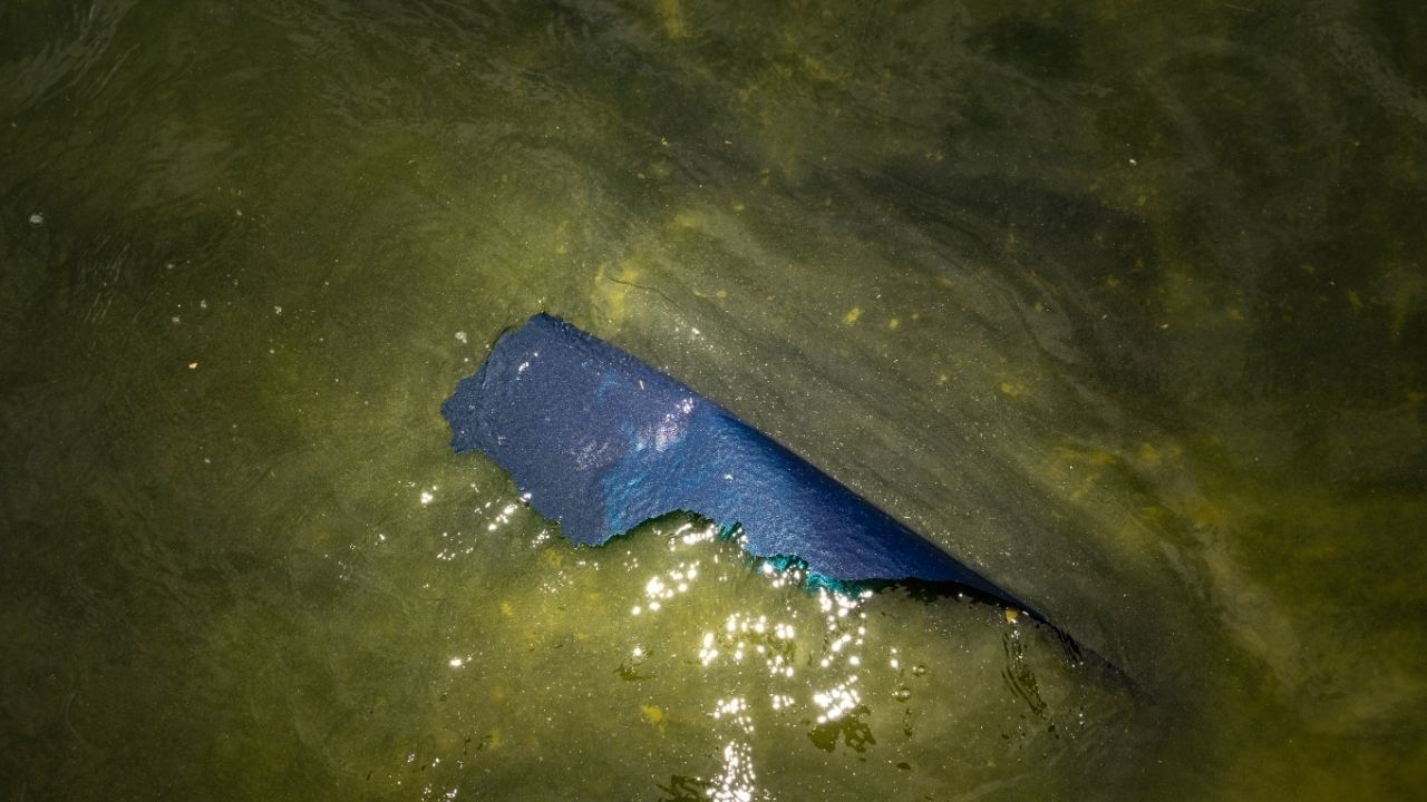 Blue paint peels from the basin of the Lincoln Memorial Reflecting Pool and floats atop algae-filled water during maintenance work in Washington on Thursday, June 18, 2026. The Trump administration gave a no-bid contract to clean the Lincoln Memorial Reflecting Pool’s water to Greenwater Services, a firm tied to one of President Donald Trump’s political donors, records show. (Salwan Georges/The New York Times)