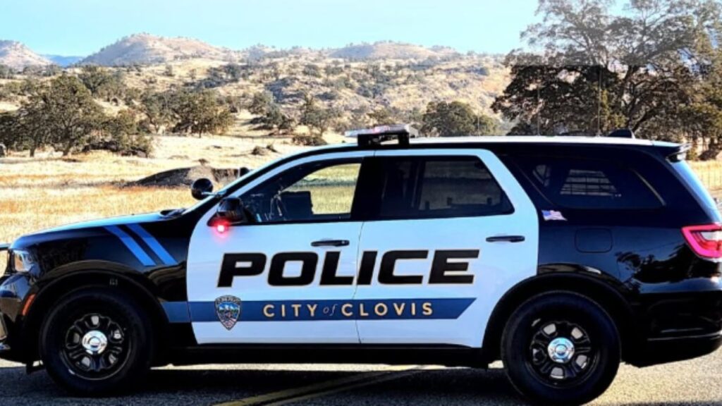 Clovis police arrested 24 drivers on suspicion of driving under the influence in May as officers made 443 total arrests and responded to 7,584 calls for service, according to the department's monthly Spotlight report. (Clovis PD)