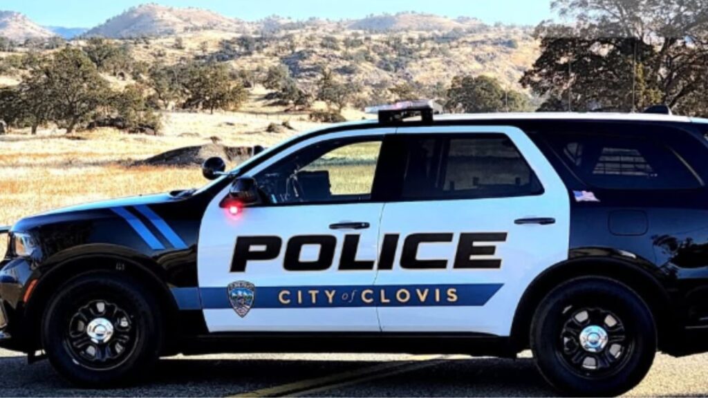 Clovis police arrested 24 drivers on suspicion of driving under the influence in May as officers made 443 total arrests and responded to 7,584 calls for service, according to the department's monthly Spotlight report. (Clovis PD)