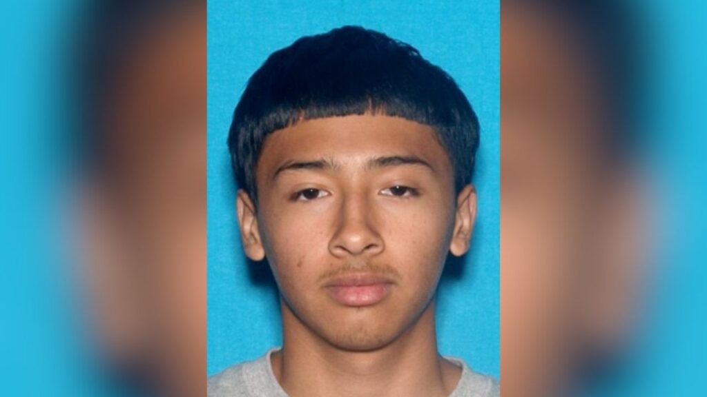 Edgar Hernandez (pictured), 19, died after a shooting at a northwest Fresno apartment complex and a 13-year-old juvenile has been arrested on a manslaughter charge, according to the Fresno Police Department. (Fresno PD)