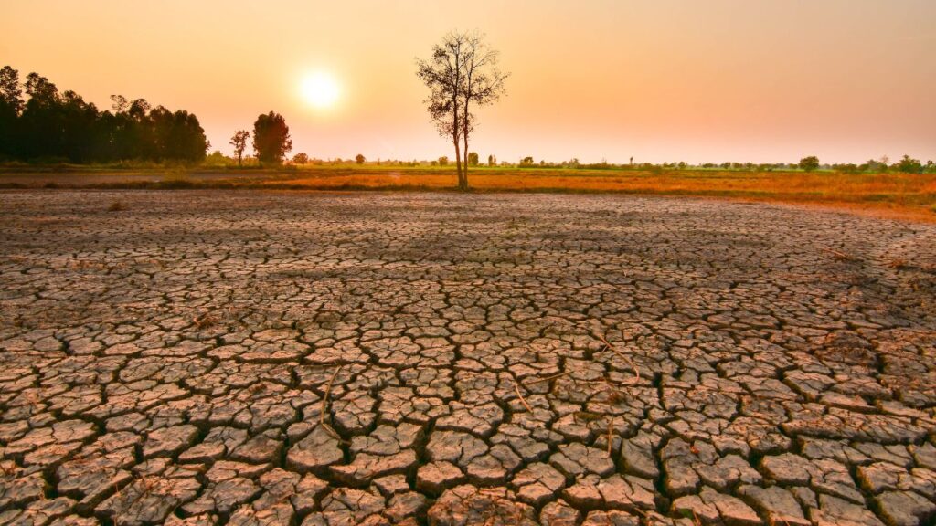 Federal forecasters say a newly confirmed, potentially record-strength El Niño could bring a wetter-than-normal winter, stronger storms and increased mountain snowfall to California later this year. (Shutterstock)