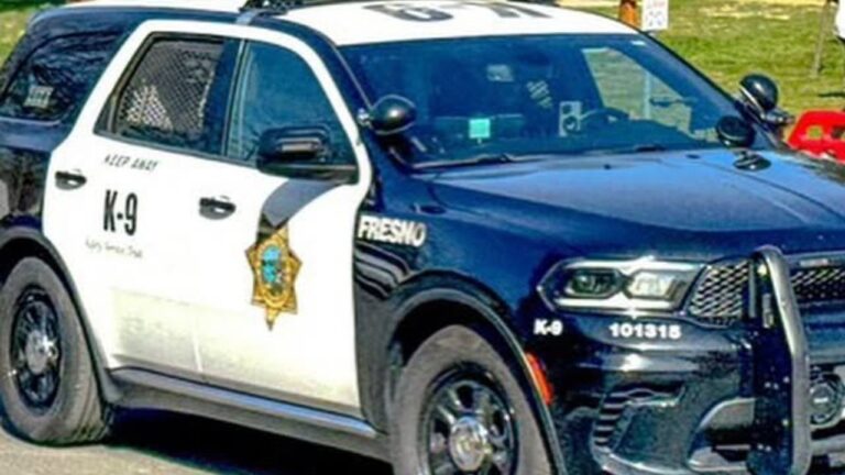 Blackstone Avenue Shooting Was Not Random, Fresno Police Say - GV Wire