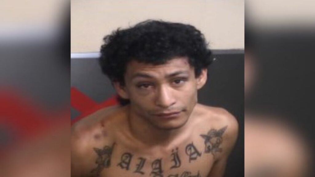 Fresno police arrested Derek Olmedo, 26, after investigators say he intentionally struck multiple vehicles and ran over a dog during a disturbance on East Cortland Avenue. (Fresno PD)