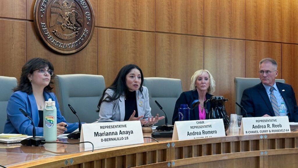 New Mexico Representative Andrea Romero, chair of the Epstein Truth Commission, established by the New Mexico Legislature, answers a reporter's question,at the New Mexico legislature in Santa Fe, New Mexico, June 1, 2026. (Reuters File)