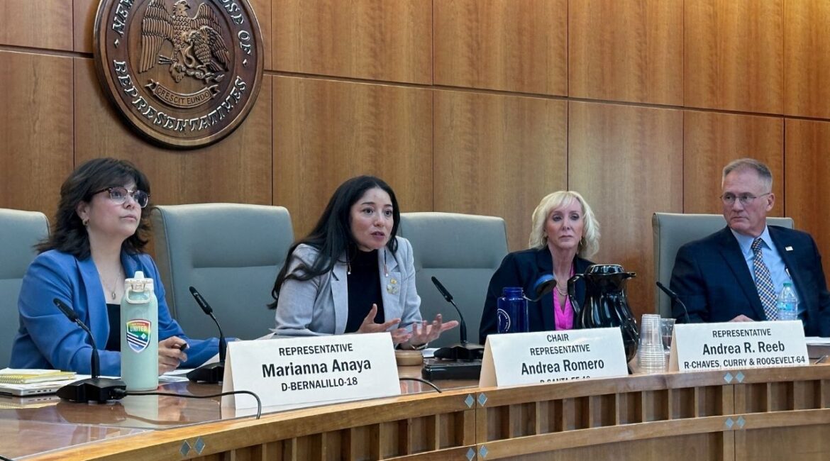 New Mexico Representative Andrea Romero, chair of the Epstein Truth Commission, established by the New Mexico Legislature, answers a reporter's question,at the New Mexico legislature in Santa Fe, New Mexico, June 1, 2026. (Reuters File)