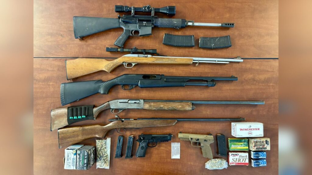 The Mariposa County Sheriff’s Office Marijuana Enforcement Team eradicated more than 3,000 illegal marijuana plants and seized seven firearms during search warrant operations in the Coulterville area. (Mariposa County SO)