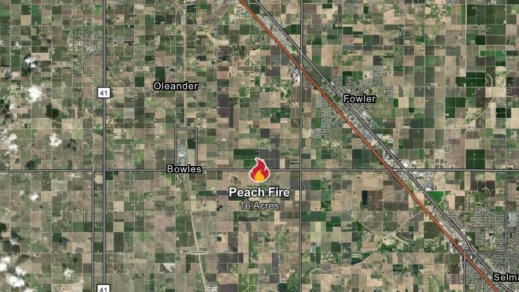 The Peach Fire burned 16 acres west of Fowler on Thursday, and its cause remains under investigation, according to CalFire. (CalFire)