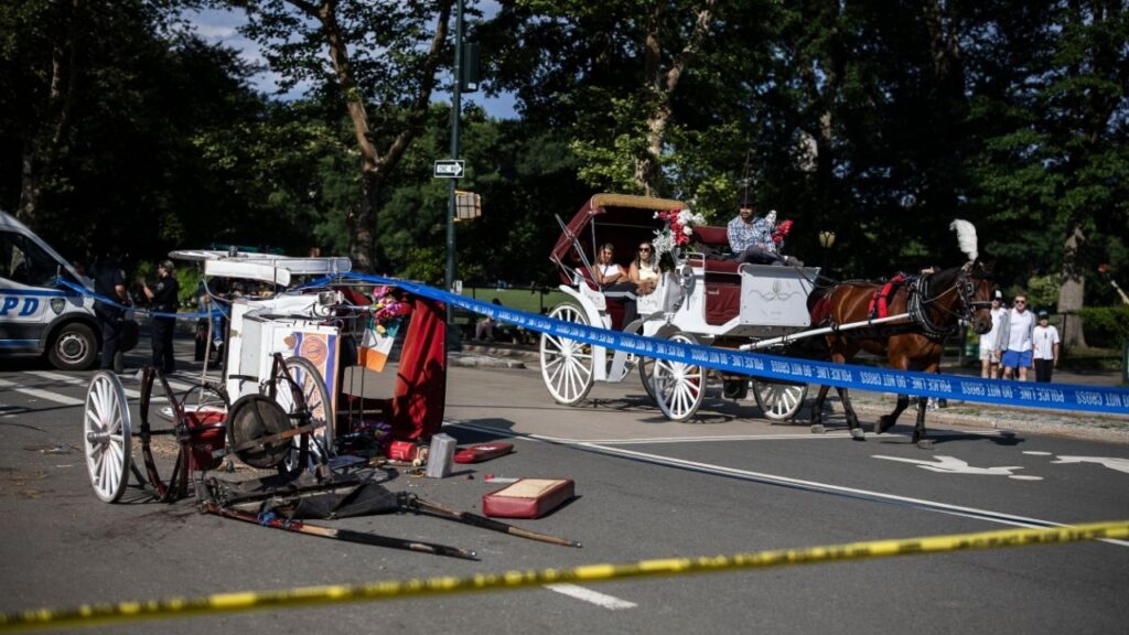 The wreckage of a horse-drawn carriage lies on West Drive in New York’s Central Park after a horse went out of control and collided with another carriage before toppling over, according to the Central Park Conservancy, on Wednesday, June 17, 2026. An 18-year-old passenger fell out of the carriage and was critically injured, police said. (Dave Sanders/The New York Times)