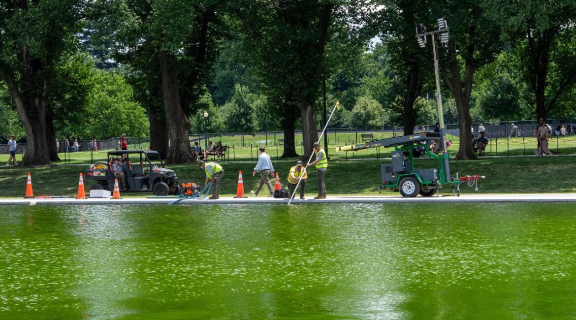 National Park Service workers at the Lincoln Memorial Reflecting Pool in Washington on Monday, June 15, 2026. Algal blooms have hit the site, between the Lincoln Memorial and the Washington Monument, after a $14.2 million repair project. (Alex Kent/The New York Times)