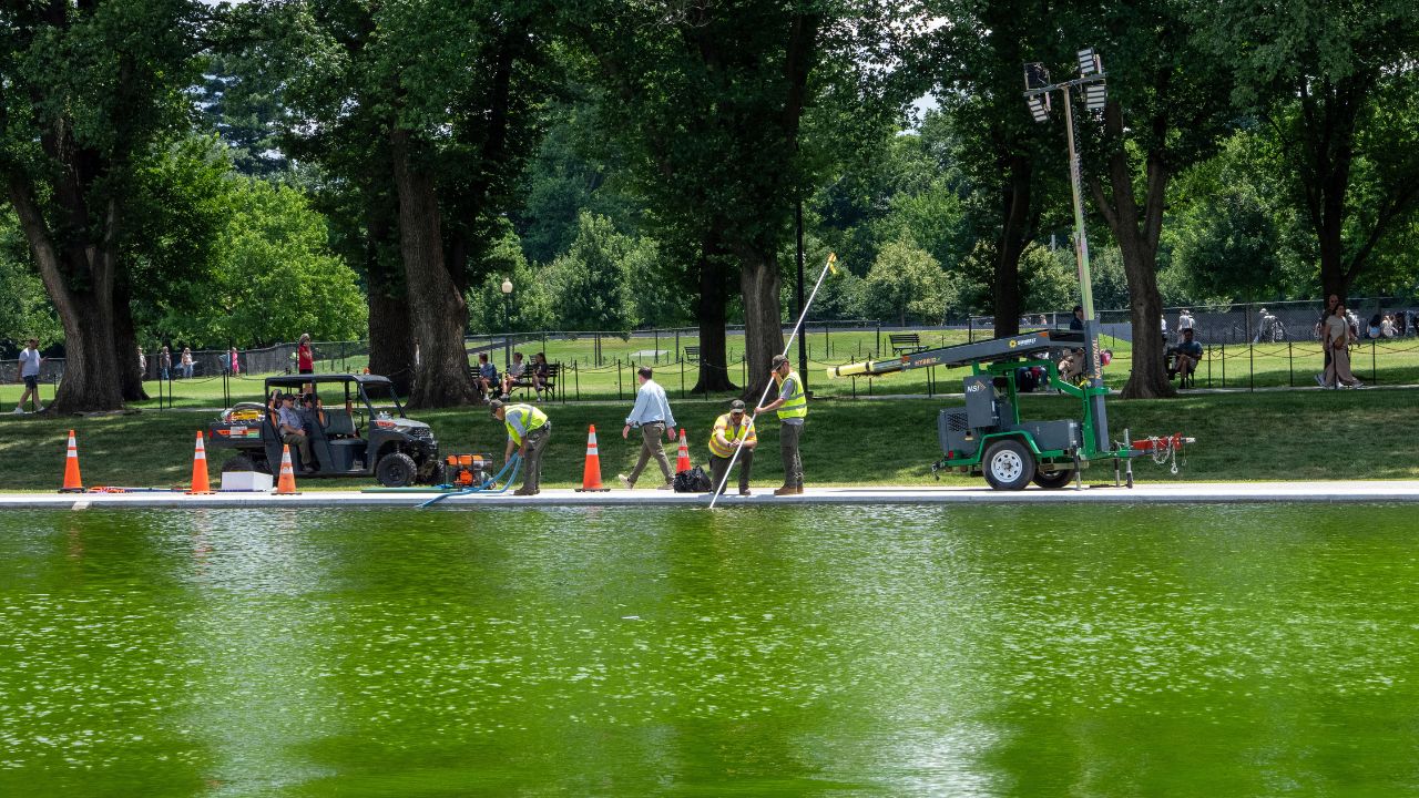 National Park Service workers at the Lincoln Memorial Reflecting Pool in Washington on Monday, June 15, 2026. Algal blooms have hit the site, between the Lincoln Memorial and the Washington Monument, after a $14.2 million repair project. (Alex Kent/The New York Times)