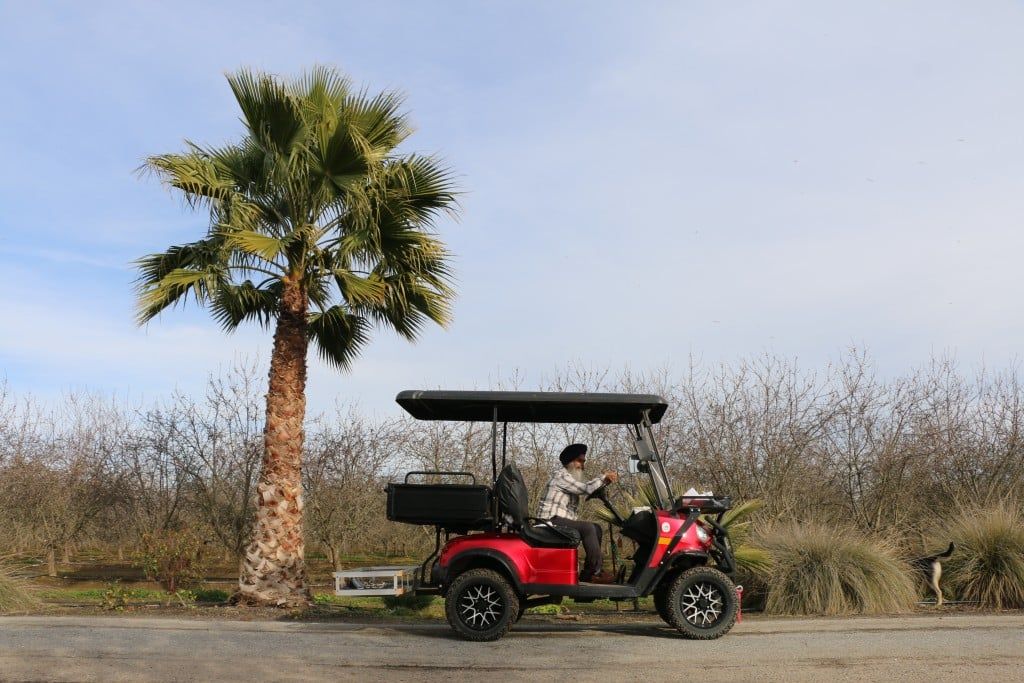 Image of a man facing right driving a red golf cart near a palm tree on his farm