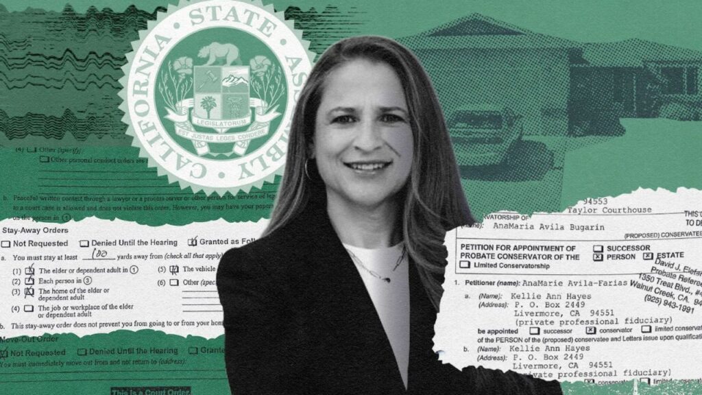 Illustration in black green and white of Assemblymember Anamarie Avila Farias surrounded by official documents