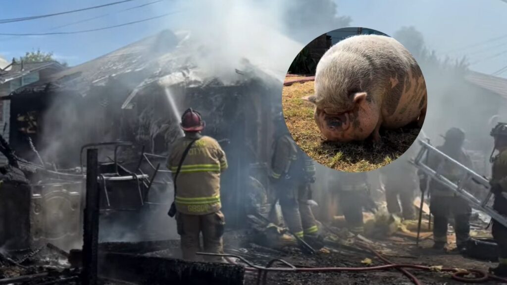 A Fresno garage fire left one person treated for smoke inhalation after firefighters stopped flames from spreading to a nearby home and neighbors helped rescue a pet pig. (Fresno FD)