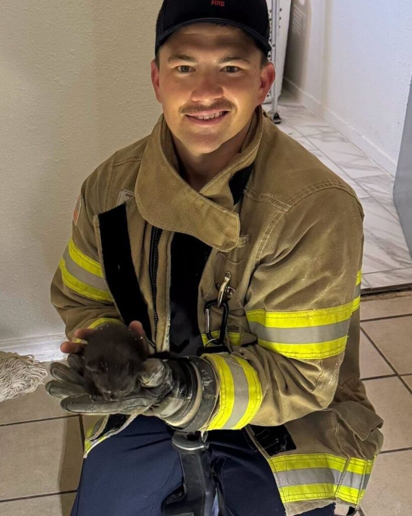 A Tulare County firefighter holding the recently saved kitten. (Tulare County FD)