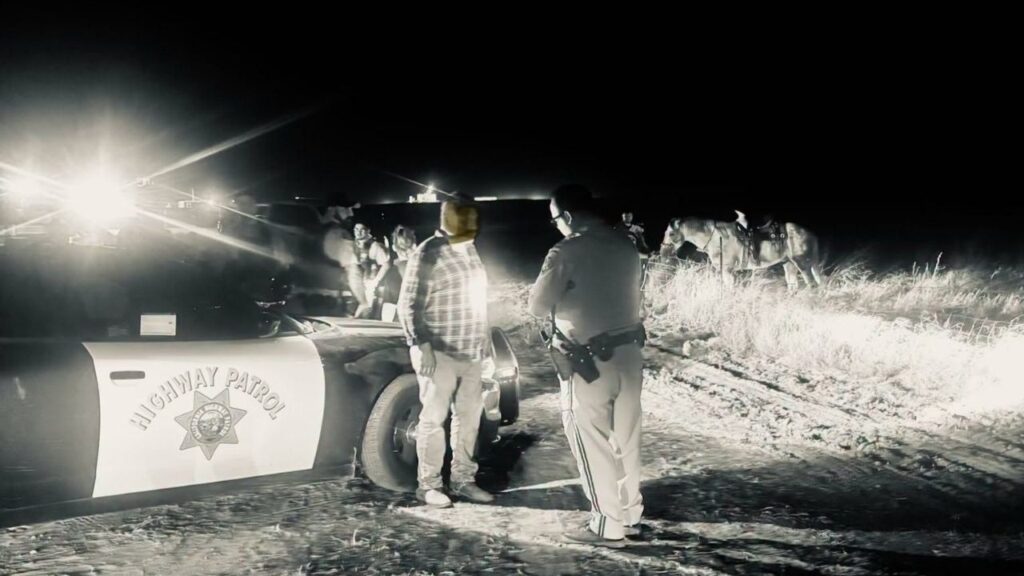 A man was arrested for DUI after riding a horse on a public roadway, where California law treats animal riders like motor vehicle drivers. (CHP)