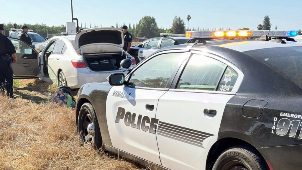 A stolen vehicle pursuit in Visalia on Friday ended in an orchard after a crash through a barbed wire fence, leading to the arrest of a driver and passenger. (Visalia PD)