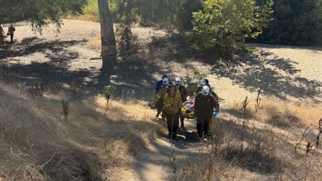 An injured man was rescued and taken to a hospital Sunday afternoon after falling from a tree while reportedly trying to rescue a pet cat in the San Joaquin River bottom near Riverside Golf Course, Fresno firefighters said. (Fresno FD)