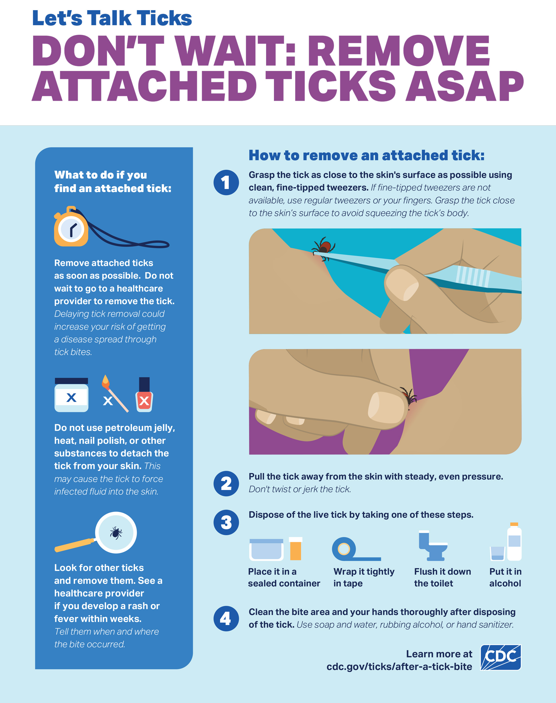 Graphic explaining how to remove ticks