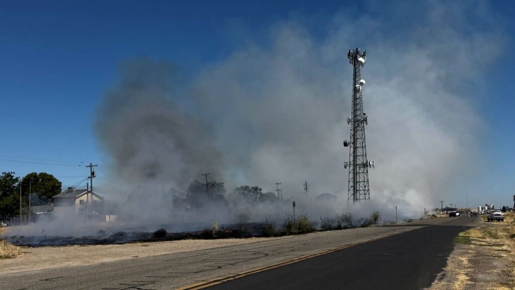 Firefighters extinguished a fire Thursday on E Street on the south side of Madera before any structures were damaged. (Madera PD)
