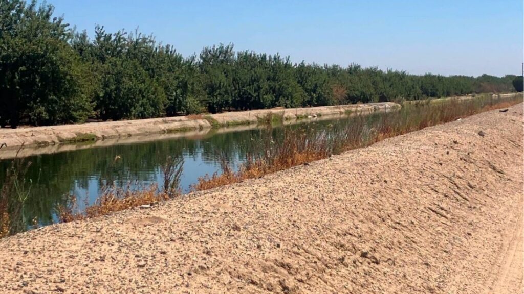 Fresno County Sheriff's deputies are investigating after a man's body was found Friday morning in a canal west of Biola, with his identity and the circumstances of his death still unknown. (Fresno County SO)