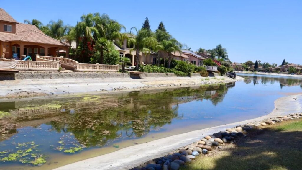 Image of a small lake with low water level and algae in a community of upscale homes