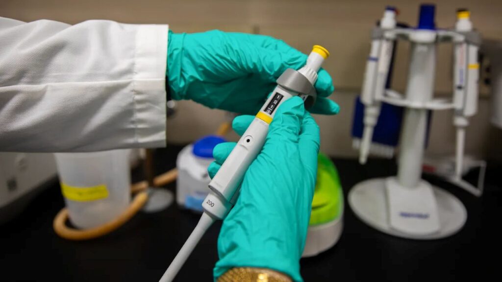 Image of blue-green gloved hands in a white lab coat holding a lab piquette
