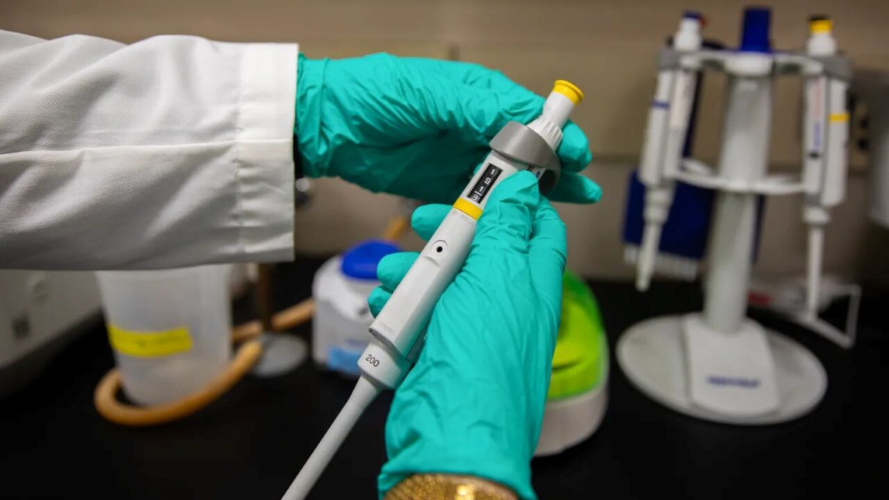 Image of blue-green gloved hands in a white lab coat holding a lab piquette