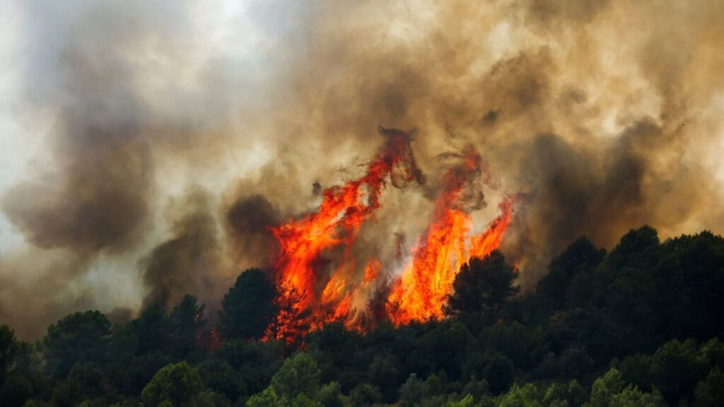 Trees burn during the wildfires in Artana, Spain, July 29, 2026. REUTERS/Pedro Nunes