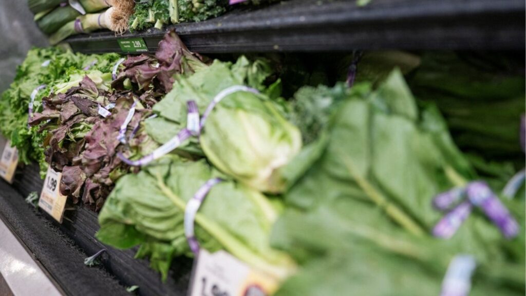 Lettuce is displayed for sale, amid reports of slumping consumer confidence in lettuce and other fresh produce during the current cyclosporiasis outbreak that has sickened thousands across the U.S., at a grocery store in Washington, D.C., U.S., July 24, 2026. Reuters/Nathan Howard