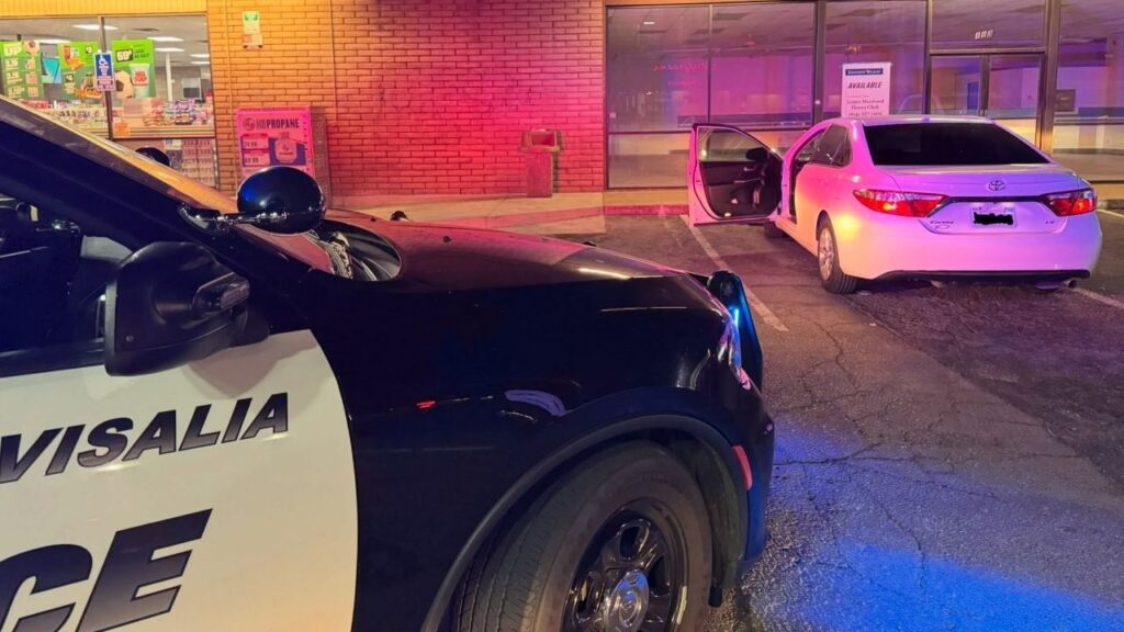 Visalia police arrested Michelle Hall and Jeffery Downing after recovering a stolen Toyota Corolla and investigating related vehicle theft and tampering allegations early Tuesday, July 28, 2026, morning. (Visalia PD)