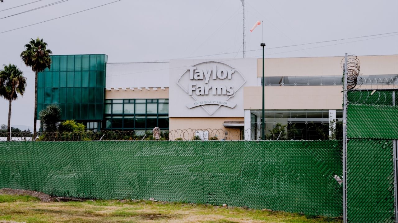 A Taylor Farms processing plant in Doctor Mora, Guanajuato, Mexico, July 19, 2026. Just weeks after the company recalled lettuce and other produce suspected of being tainted by the cyclosporiasis parasite, Taylor Farms initiated recall of jalapeños linked to a salmonella outbreak. (Fred Ramos/The New York Times)