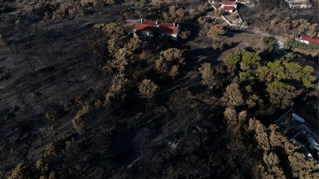 A drone view of a burnt area after a wildfire in Porto Germeno, Greece, August 5, 2026. (Reuters/Fedja Grulovic)