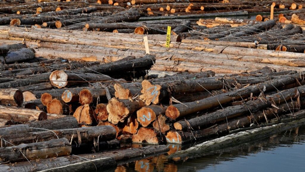 A log boom on the Fraser River, as U.S. President Donald Trump announced a three-day pause on a new round of 50% U.S. tariffs on Canadian goods, in Vancouver, British Columbia, Canada, August 19, 2026. REUTERS/Jennifer Gauthier
