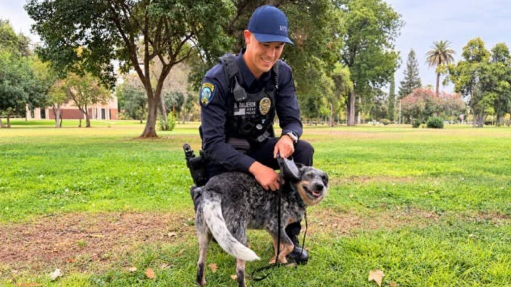 A missing support dog was reunited with a juvenile and family in Merced after a stranger cared for the animal and repeatedly returned to the area where he found it. (Merced PD)