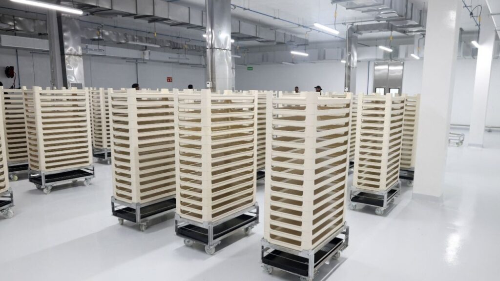 A view of the larval growth area during a media tour following the opening of a sterile fly production plant, a key step to contain the cross-border spread of the New World screwworm and its impact on cattle trade, in Metapa de Dominguez, Chiapas, Mexico, June 27, 2026. REUTERS/Damian Sanchez