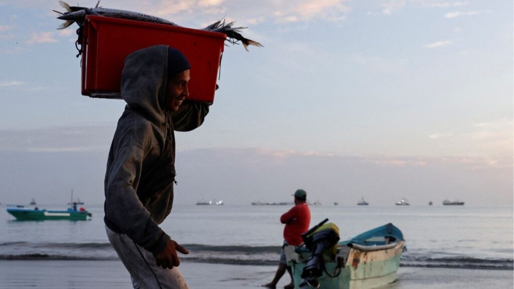 Fishermen unload their fresh catch near a market as local fishermen are increasingly being pursued by Ecuadorean gangs to move drugs and for their skills navigating the Pacific waters along Ecuador's coast, which has become a hub for the international smuggling of narcotics over the last half-decade, in Manta, Ecuador, June 4, 2026. Reuters/Karen Toro