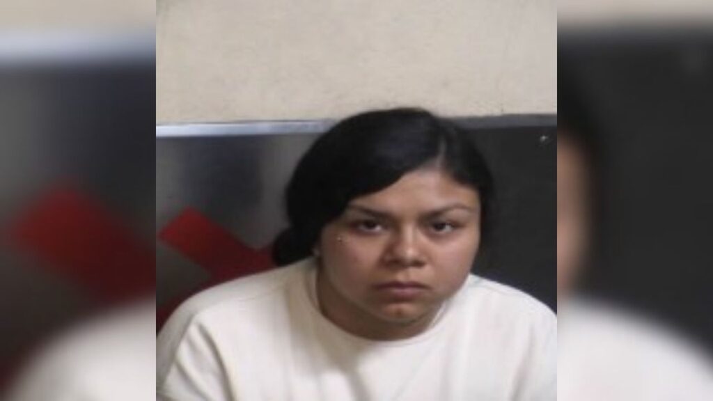 Clovis police arrested Mayra Contreras (pictured), 21, and a 15-year-old boy after a family disturbance Wednesday night ended in a shooting that injured an adult man. (Clovis PD)