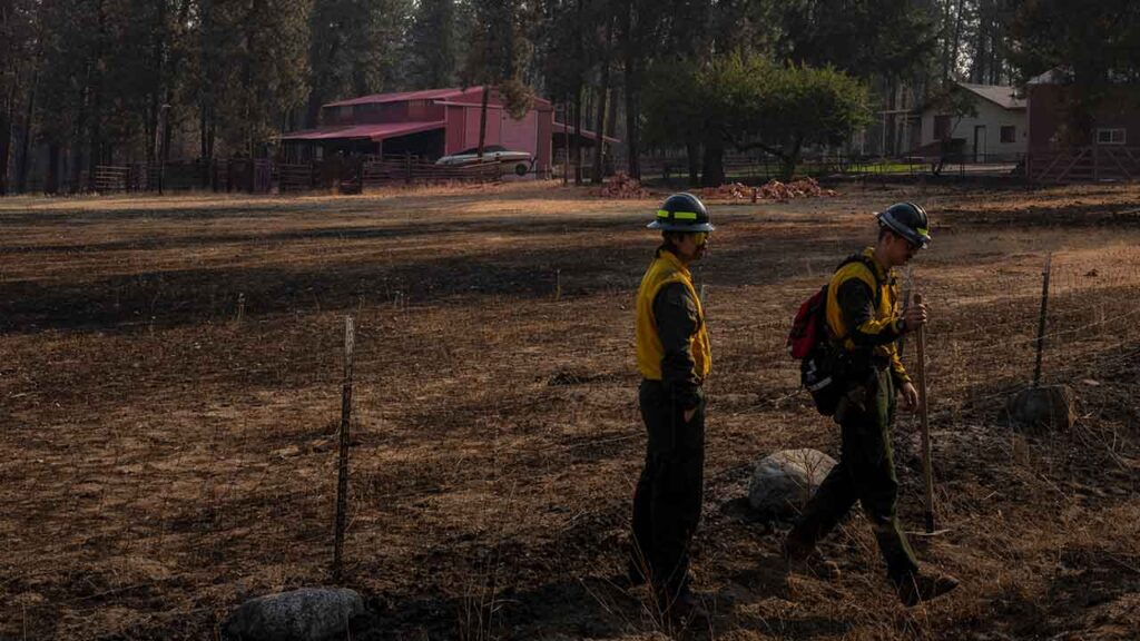 Firefighters prepare to do mop-up work near a barn covered in fire retardant in the aftermath of the Old Trails fire in Spokane, Wash., on Wednesday morning, Aug. 5, 2026. The Trump administration pushed out thousands of veteran U.S. Forest Service staff. An ‘extraordinary’ fire season is testing those who are left. (Loren Elliott/The New York Times)
