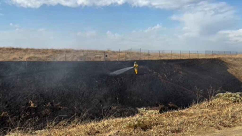 Fresno firefighters contained a 30-acre fire Thursday afternoon near Palm and Nees avenues before the flames could reach nearby homes or businesses. (Fresno FD)