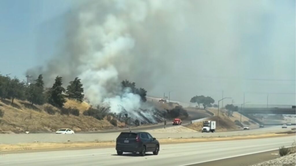 Fresno firefighters quickly knocked down a vegetation fire that burned several acres of dry grass along westbound Highway 180, preventing it from spreading further. (Fresno FD)