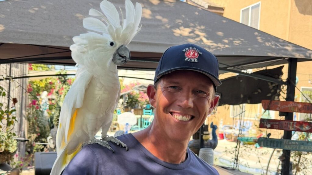 Fresno firefighters safely rescued an exotic pet bird named Rocky from a backyard tree Tuesday afternoon and reunited him with his owner. (Fresno FD)