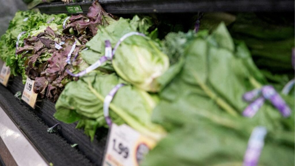 Lettuce is displayed for sale at a grocery store in Washington, D.C., U.S., July 24, 2026. (Reuters File)