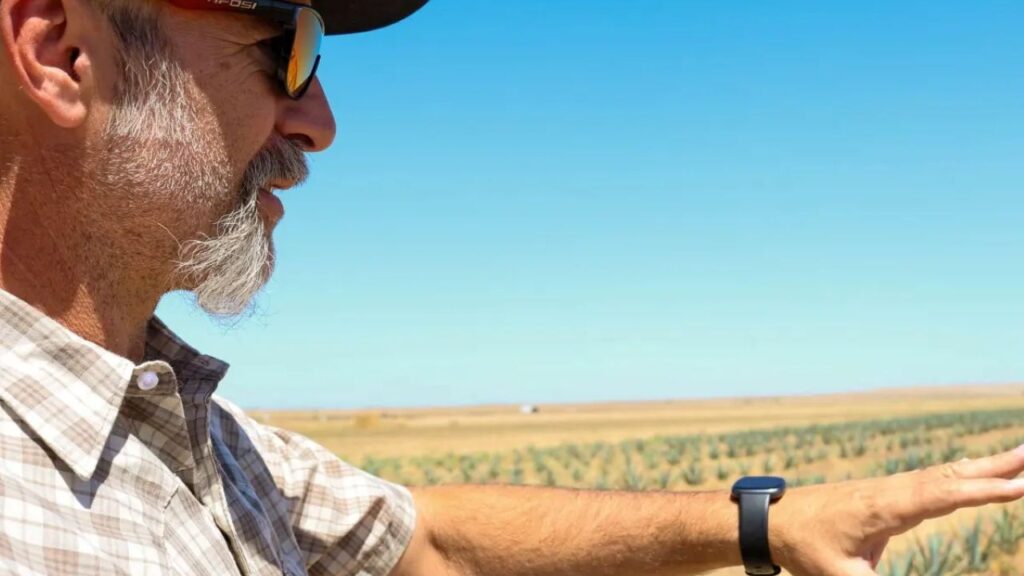 Image of a farmer looking right and pointing to an agave field