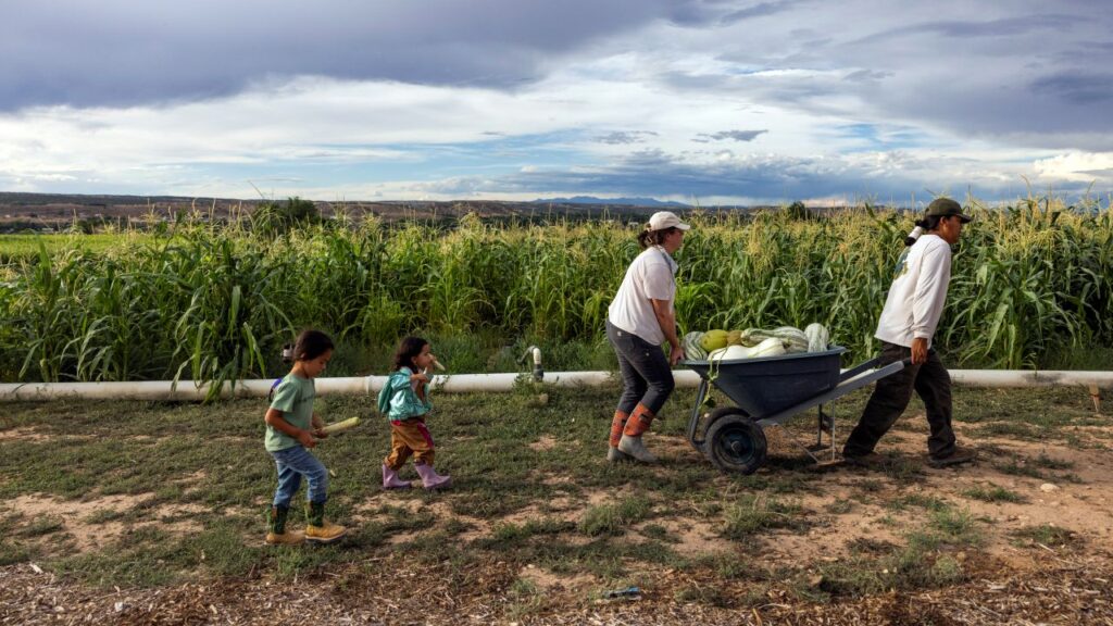 Image of husband and wife farmers trailed by their young children as they move a wheelbarrow filled with squash