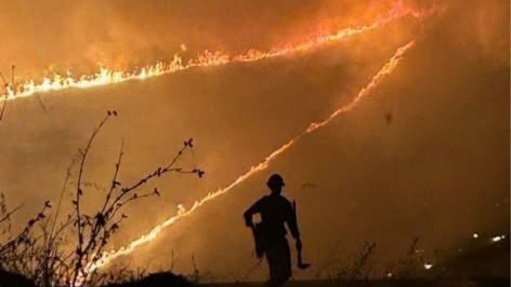 The 2,000-acre Timber Fire burning in Monterey County’s Los Padres National Forest was 5% contained Tuesday morning, threatening 259 structures and prompting evacuation orders as 480 firefighters worked to control the blaze. (U.S. Forest Service)