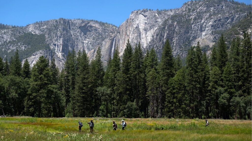 Visitors walk through Yosemite Valley in Yosemite National Park, Calif., July 3, 2026. The Trump administration has proposed giving a small parcel of land in Yosemite National Park in California to a private developer, according to federal officials and documents reviewed by The New York Times. (Mike Kai Chen/The New York Times)
